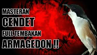 Download lagu Masteran Cendet Tembakan Armagedon!! mp3 Download lagu Masteran Cendet Tembakan Armagedon!! mp3