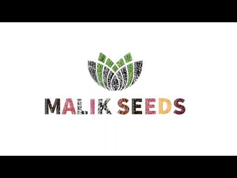A R Malik Seeds Pvt. Ltd.