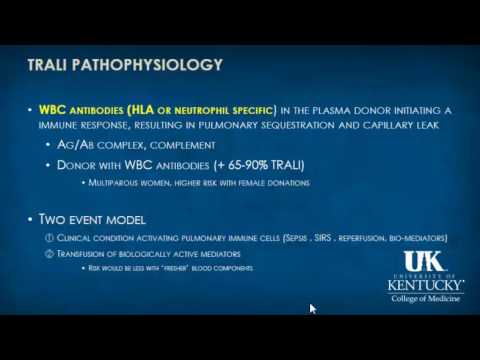 Keyword Review: Rebel Hematology - Dr. Rebel