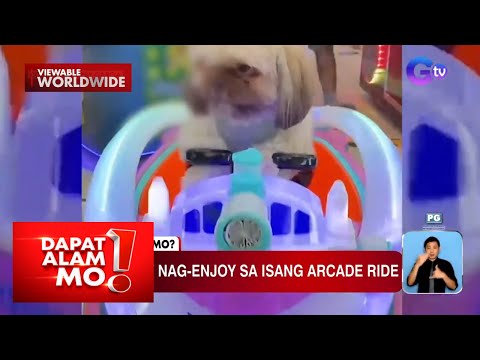 Aso, nag-enjoy sa isang arcade ride Dapat Alam Mo!