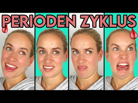 The 4 phases of the period cycle