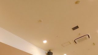 ニッシーとボーリング　2021.09.25