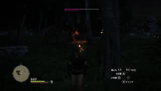 ドラゴンズドグマ　プレイ
