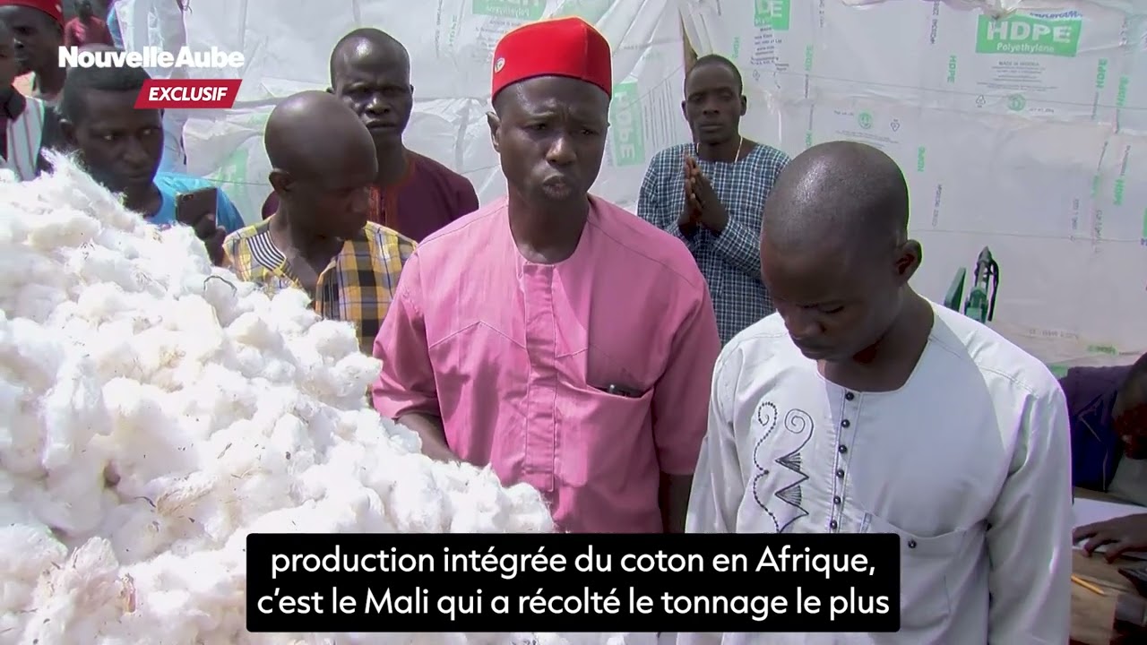 Production cotonnière en Afrique: Le Mali détrône le Bénin