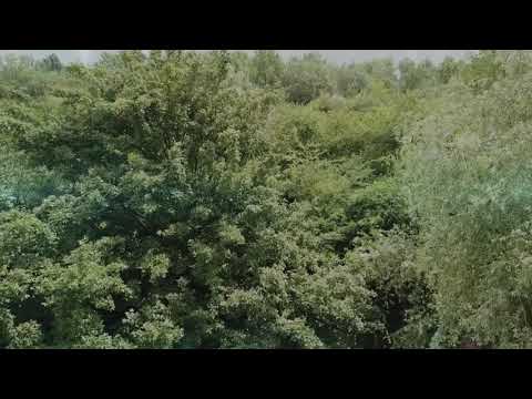 Gelsenkirchen Nordsternpark