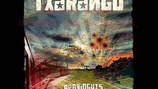 QUAN TOT S&#39;ENLAIRA - Txarango (lletra)