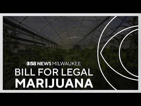 State Democrats announce new marijuana legalization proposal