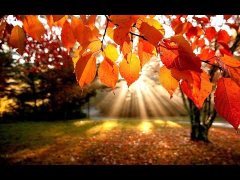 Antonio Vivaldi -  Anotimpurile - Toamna