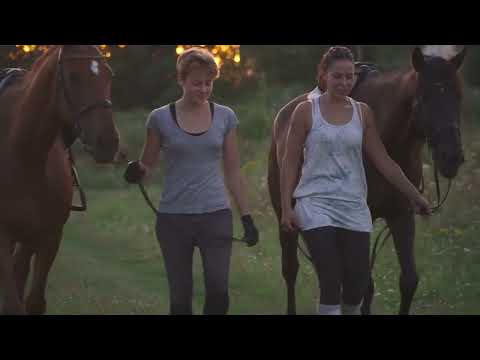 Animal Companions:The Top 10 Friendliest Creatures on Earth! #trending #viral #animallover #animals