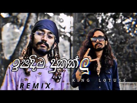 King Lotuss x Dilu Beats - Ipadima Dukaklu | remix |@vibestudio