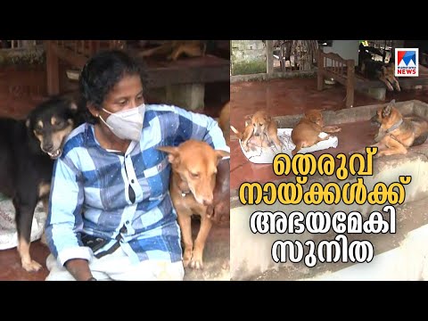 സ്വന്തം കിടപ്പാടം തെരുവ് നായ്ക്കള്‍ക്കായി കൊടുത്ത സുനിത; കനിവ് കാട്ടേണ്ട മാതൃക ​| Sunitha | Street D