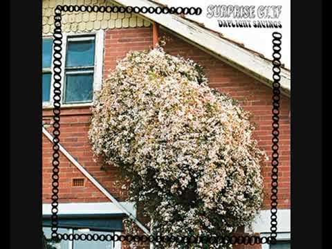 Surprise Chef - Daylight Savings - 2020 (FULL ALBUM)