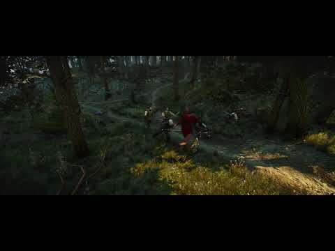 Witcher debauchery 1