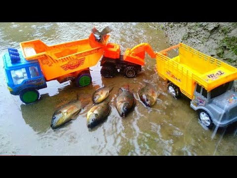 cartoon video golden carp fish run race stop motion relertg eggfish cartoon cooking betta video 7