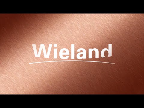 Fahrgast TV Ulm & Neu-Ulm - Ausbildungsbörse / Kunde: Wieland