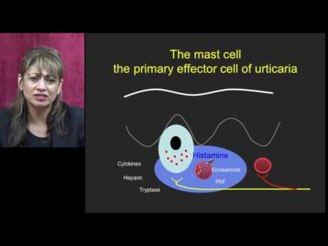 Emberi protozoon paraziták