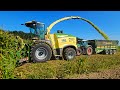 Fantastischer BIG X 1180 Startet Die Mais Silphie Sasion 2024 M Fendt Krone Teamwork Big X V8
