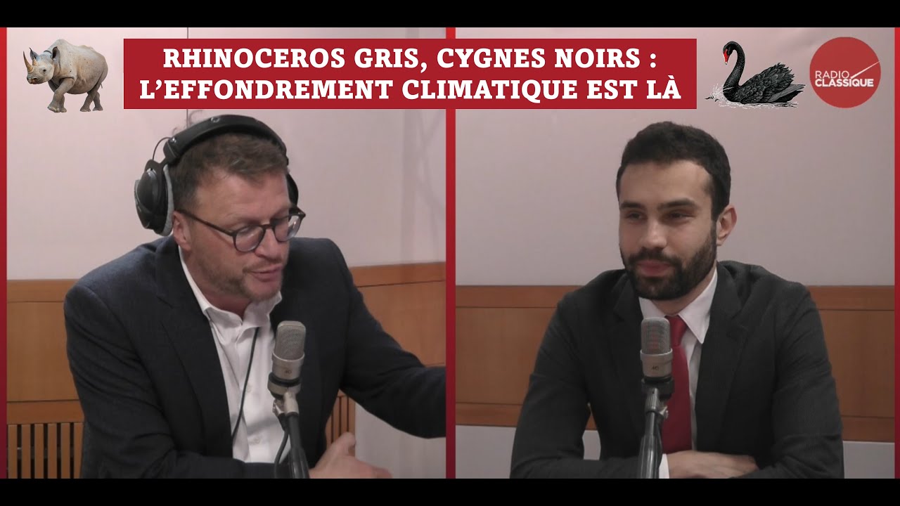 Rhinocéros gris, cygnes noirs : l'effondrement climatique est là