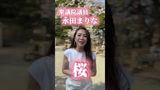 土日まとめてご報告。海から山から桜から野球から防災にフリースクール。4区のみなさんのパワーをいただいた週末でした。ありがとうございました😊 #神奈川4区 #永田まりな #自民党 #衆議院議員