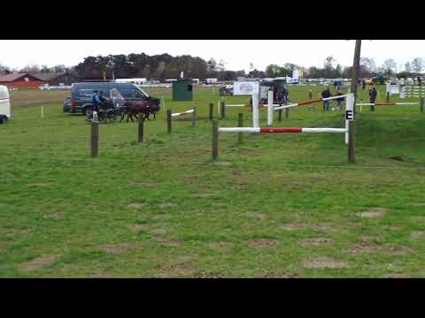 Fahrturnier Greffen 10.4.2022