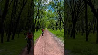 Download lagu Day trip to the Cu Chi Tunnels with a unique bike and luxury speedboat. #slowBike&speedBoat mp3 Download lagu Day trip to the Cu Chi Tunnels with a unique bike and luxury speedboat. #slowBike&speedBoat mp3