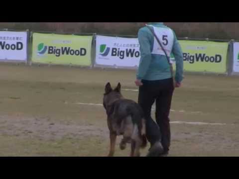 2013WUSV Selection Miran von Kyoto Masuda C96