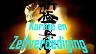 preview picture of video 'Karate Bergen op Zoom Hikari'
