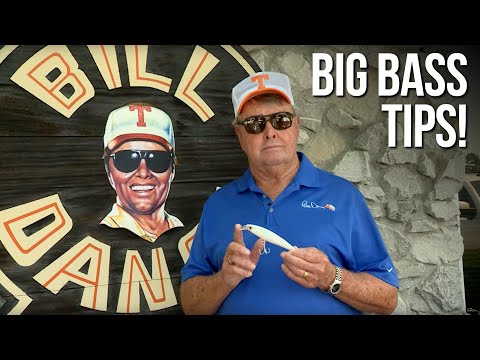Big Bass Tips!
