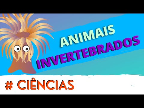 Ciências: Os grupos dos invertebrados