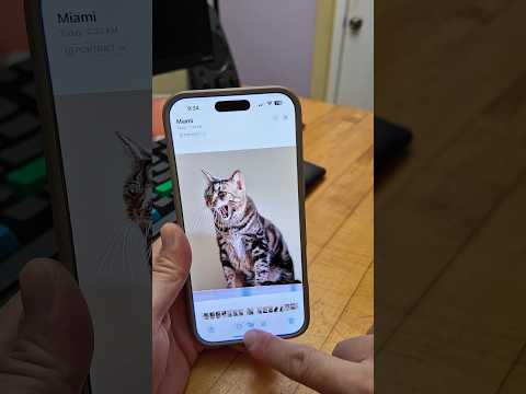 Cómo identificar objetos en fotos y vídeos con tu iPhone