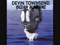 Devin Townsend - Seventh Wave 