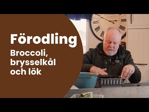Förodling med start i februari och in i mars