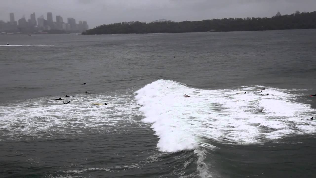 Watch Surfers Ride Sydney Harbour Waves