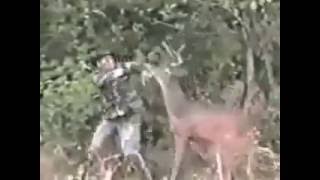 Deer beats up hunter OFFICIAL VIDEO