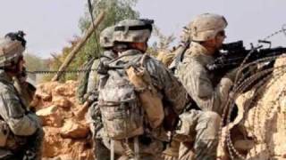 hammerhead offspring