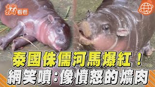[問卦] 曼谷不去動物園還有推薦的親子行程嗎=.=