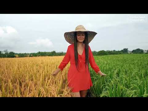 Sergey Matsegor, Nika Freia - New Life Sunrise