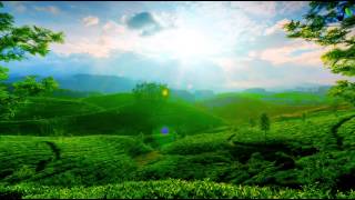 Sam Laxton Ft. Ivan Munoz - Circles