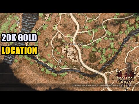 20k Gold Location Dragon's Dogma 2