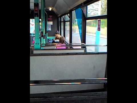 First Hampshire And Dorset 42822 S822 KPR