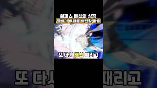 징베가 루피를 배신할 확률