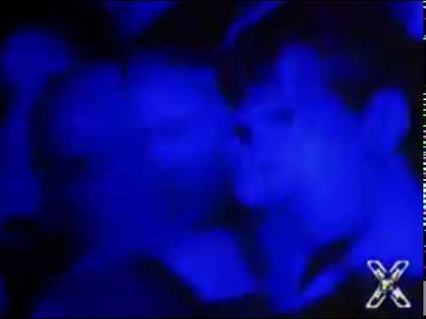 Phoenix - Reveille
