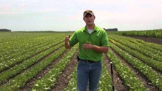 preview picture of video 'Jack Larson Seeds Agronomy Update- IDC'