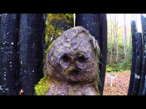 Dr Patala - Blues Waltz (with lyrics)