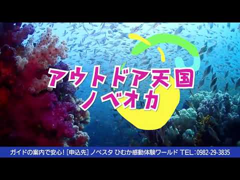 アウトドア体験観光プロモーション動画ショート版（宮崎県延岡市）