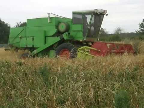 Kombajn class dominator 80 praca