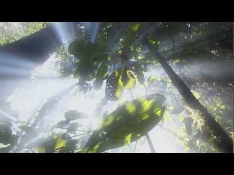 X Ray Dog - The Prophet (BBC Planet Earth)