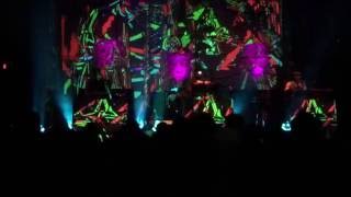 Animal Collective - Houston Live - intro to Guys Eyes