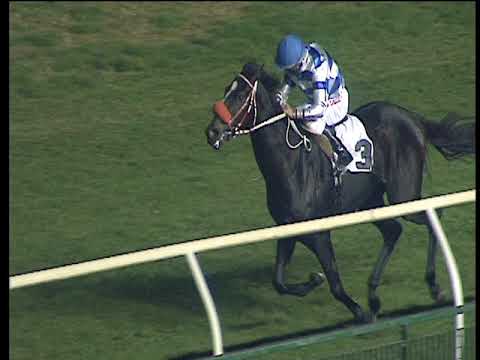 Galoppo 22/11/2017 - 7ª corsa