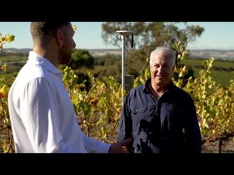 Beach Road x D3Ag: Localised weather station for vineyard management